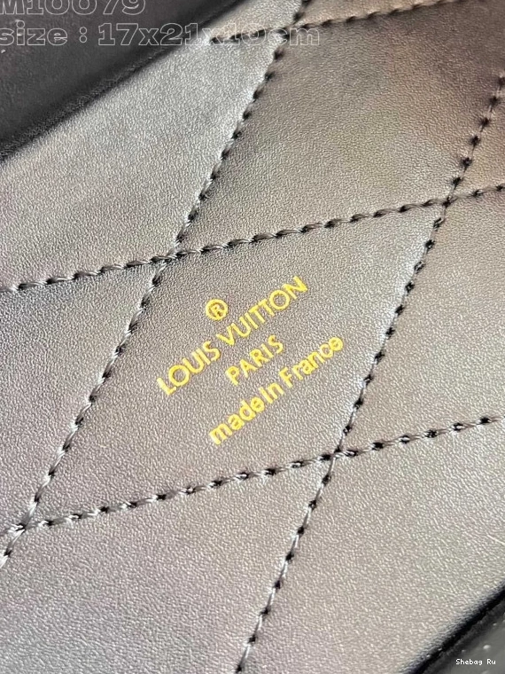 Box Canvas Camera LOUIS Monogram VUITTON 0810